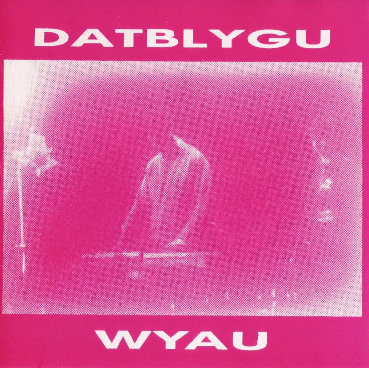 Datblygu :: Wyau / Pyst