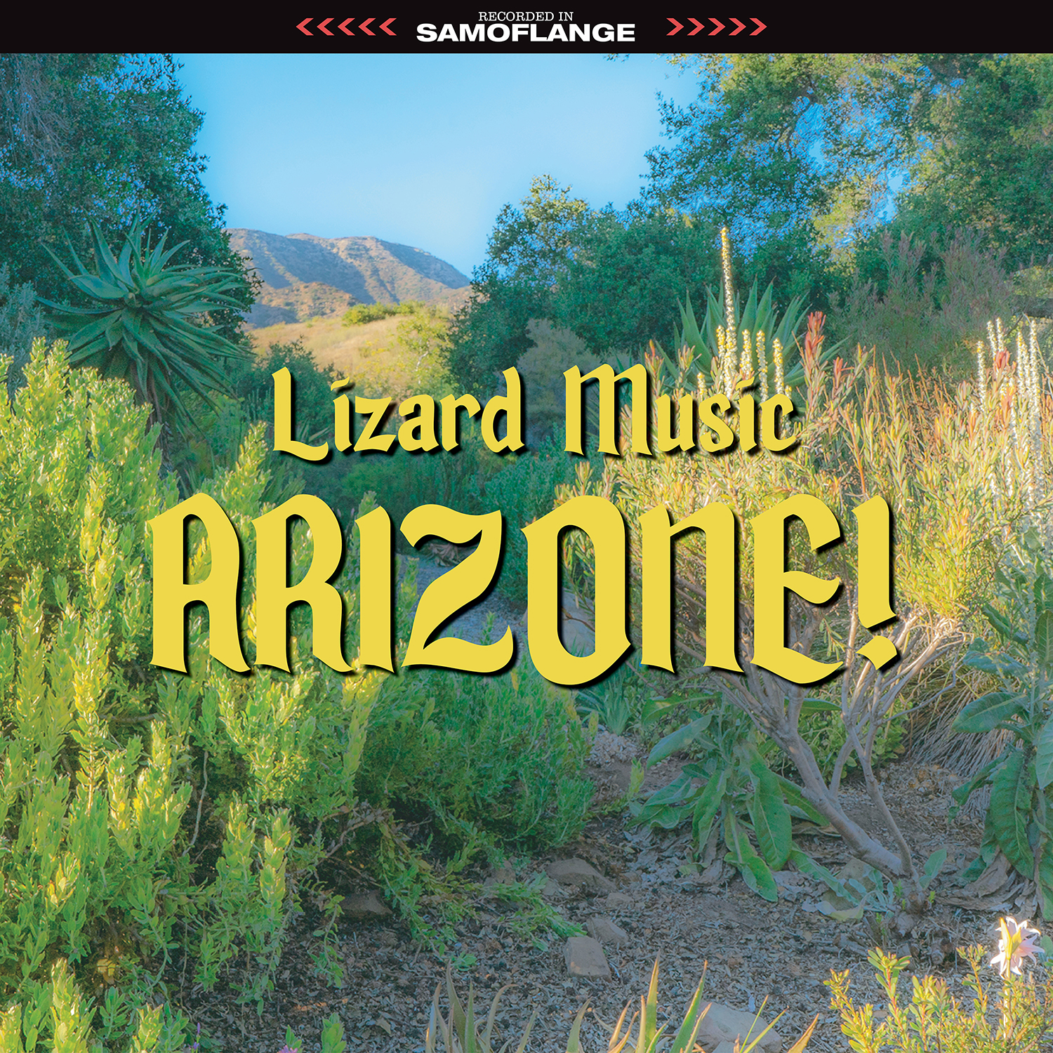 Lizard Music :: Arizone!