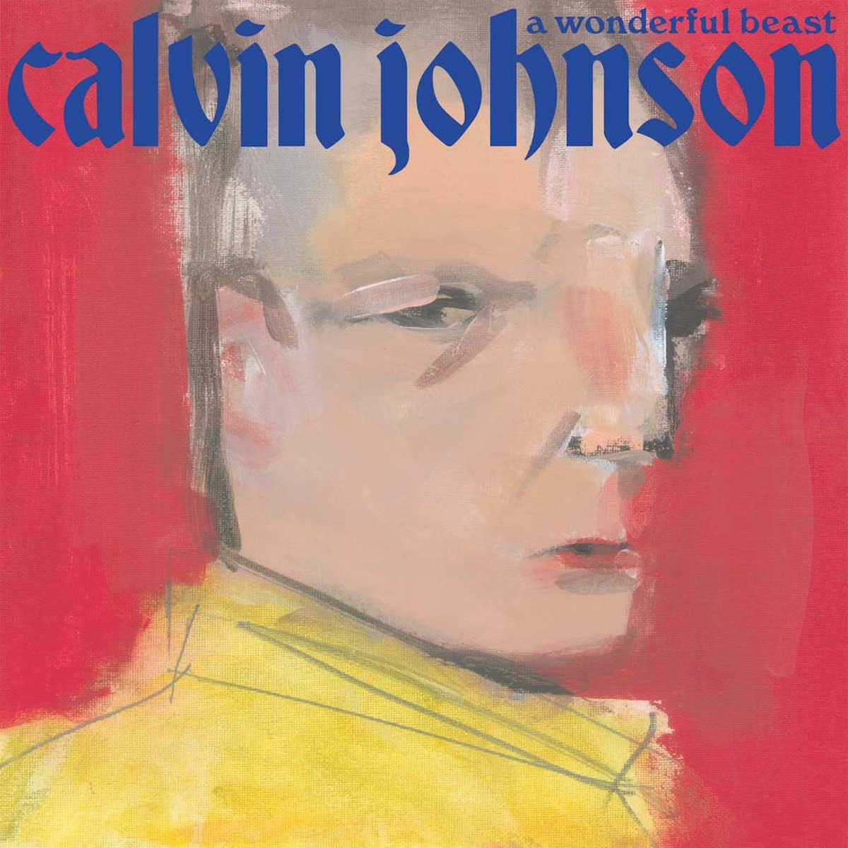 Calvin Johnson • <i>A Wonderful Beast</i>