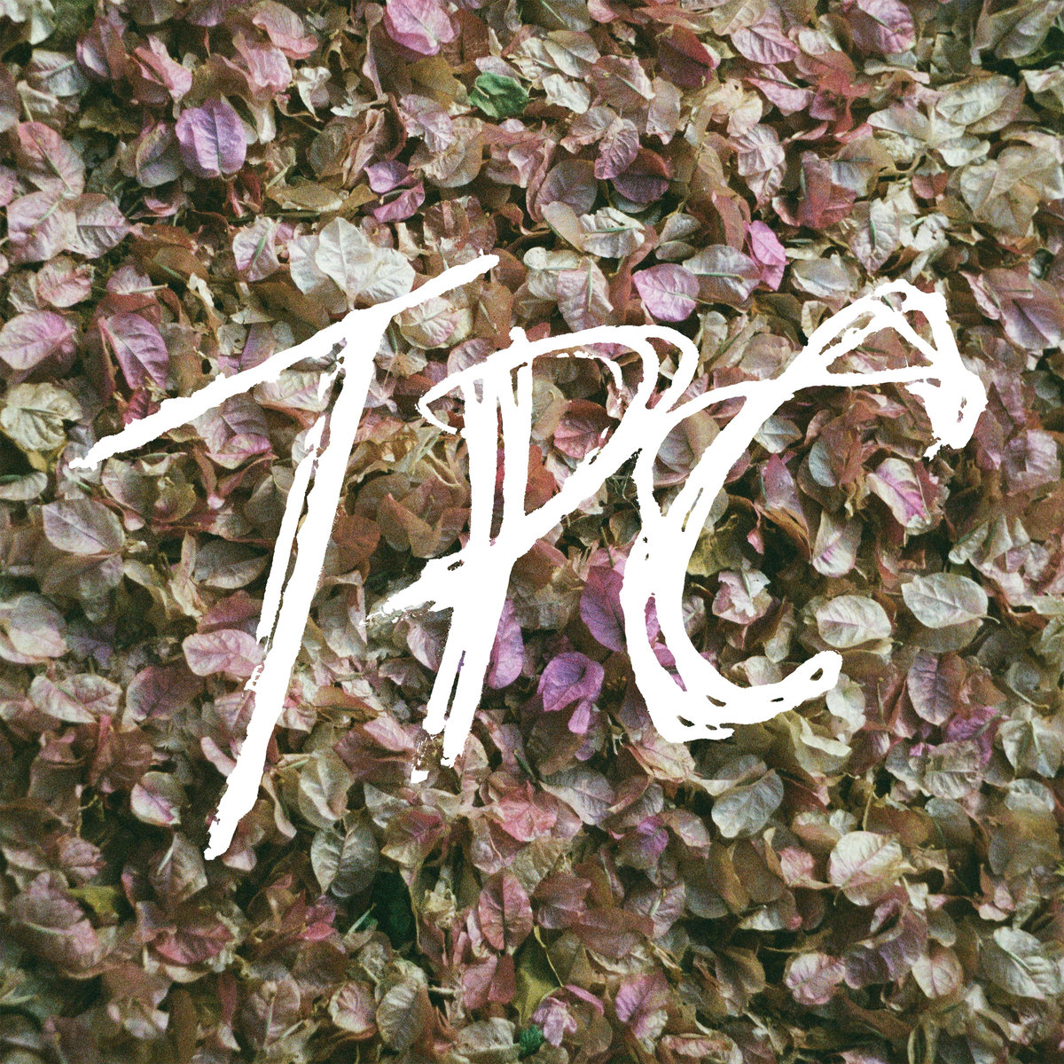 Tokyo Police Club • <i>TPC</i>