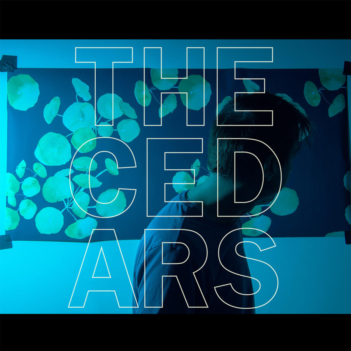 John Vanderslice • <i>The Cedars</i>