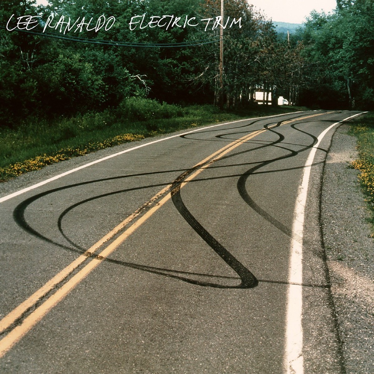 Lee Ranaldo • <i>Electric Trim</i>