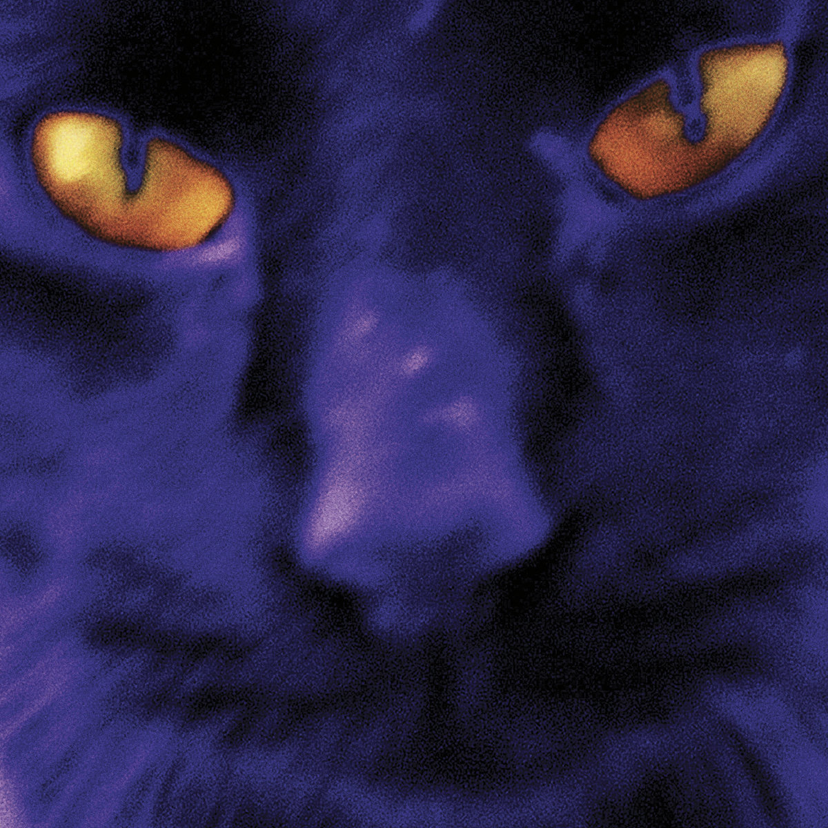 David Kilgour + the Heavy Eights • <i>Bobbie’s A Girl</i>